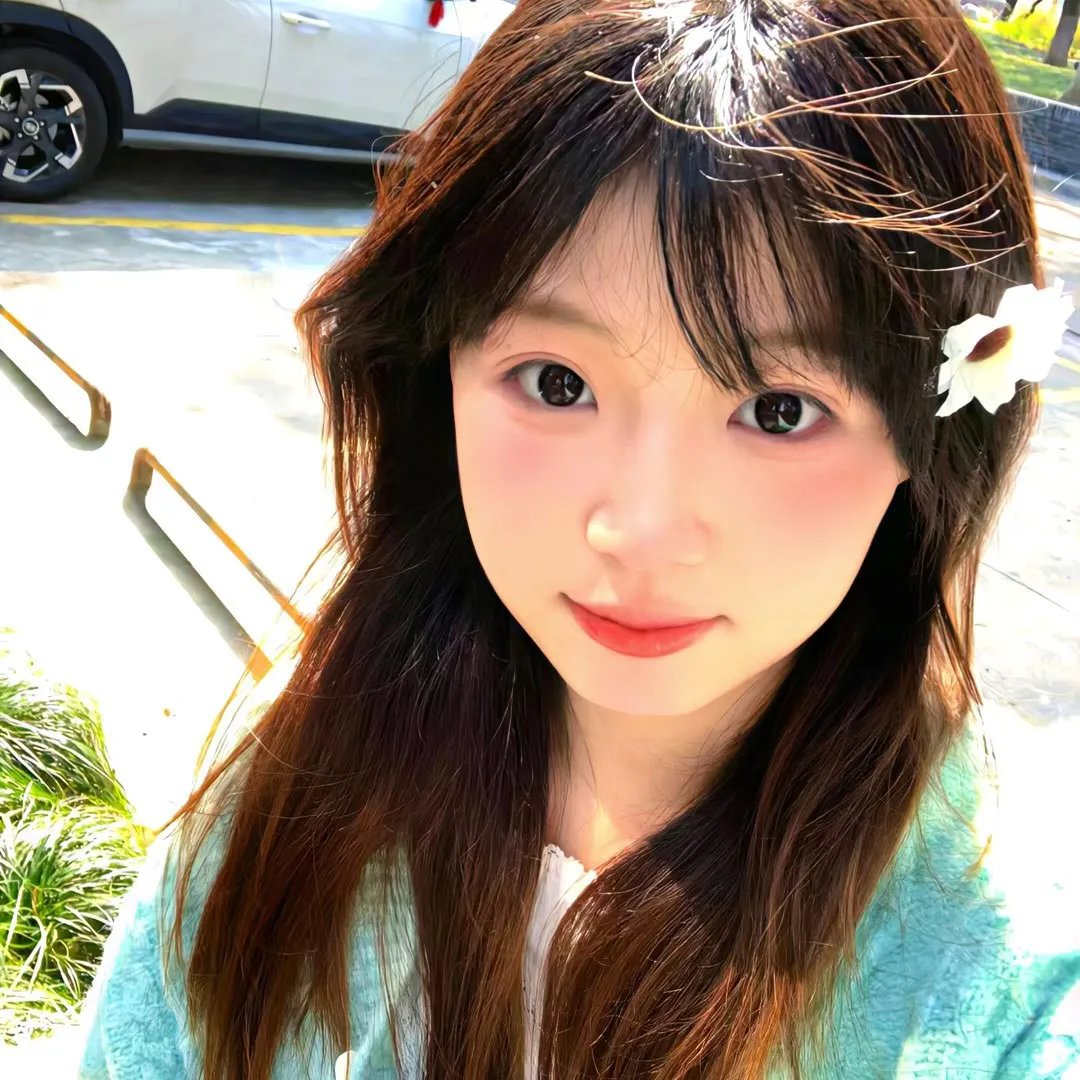 海葵