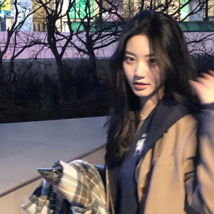 企鹅记忆幸福故事